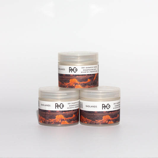 R+Co BADLANDS DRY SHAMPOO PASTE